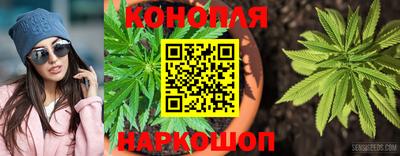 МДПВ Волгодонск