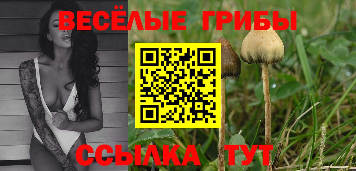 Набережные Челны  Псилоцибиновые грибы прущие грибы  Вход с VPN 